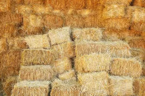 1 Cubic Foot of 100% All Natural Wheat Straw (4lbs)
