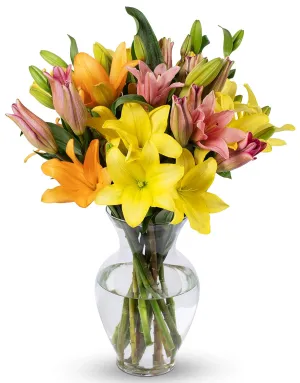 Benchmark Bouquets - 12 Stem Asiatic Lilies (Glass Vase Included) - Fresh Flowers for Delivery - Gift for Graduation, Birthday, Anniversary, Sympathy, Get Well, Congratulations