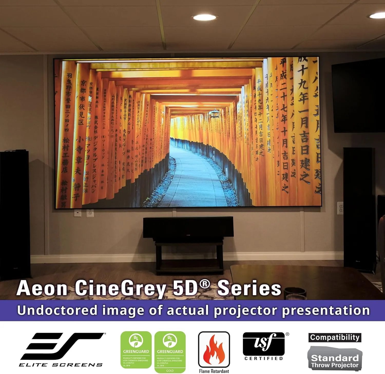 Elite Screens Aeon CineGrey 5D 115-Inch 16:9 Edge-Free CLR/ALR Projector Screen – Ceiling & Ambient Light Rejecting Fixed Frame Screen for Home Theater and Movies, AR115DHD5
