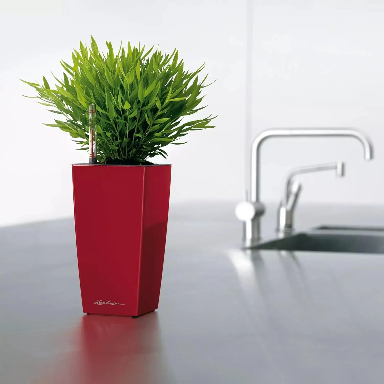 Lechuza Mini CUBI Self Watering Planter Small Flower Plant Pot Indoor Plastic Planter Without Drainage Hole H18 L9 W9 cm Red High-Gloss