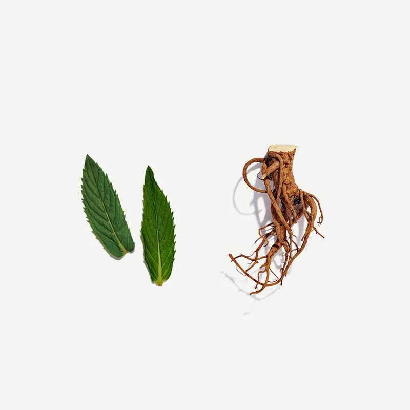 Licorice Love Tea Bags