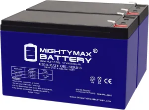 Mighty Max Battery 12V 9AH Gel F2 Replacement Battery Compatible with Liebert Nfinity 12kVA UPS - 2 Pack