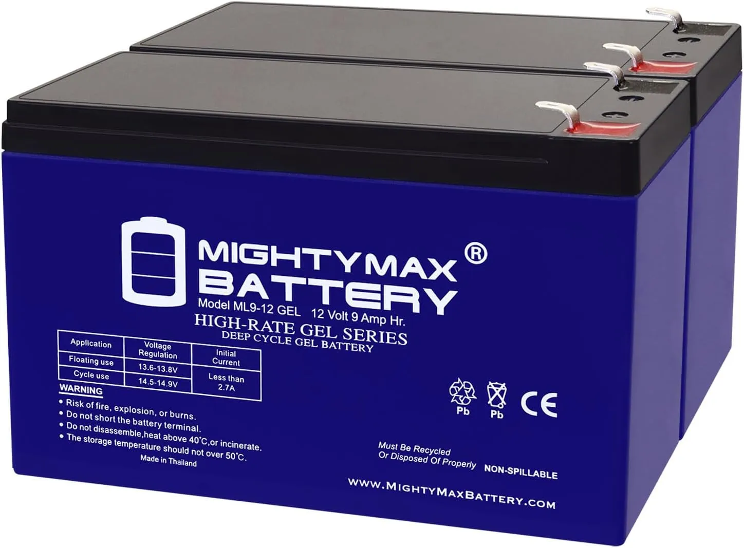 Mighty Max Battery 12V 9AH Gel F2 Replacement Battery Compatible with Liebert Nfinity 12kVA UPS - 2 Pack