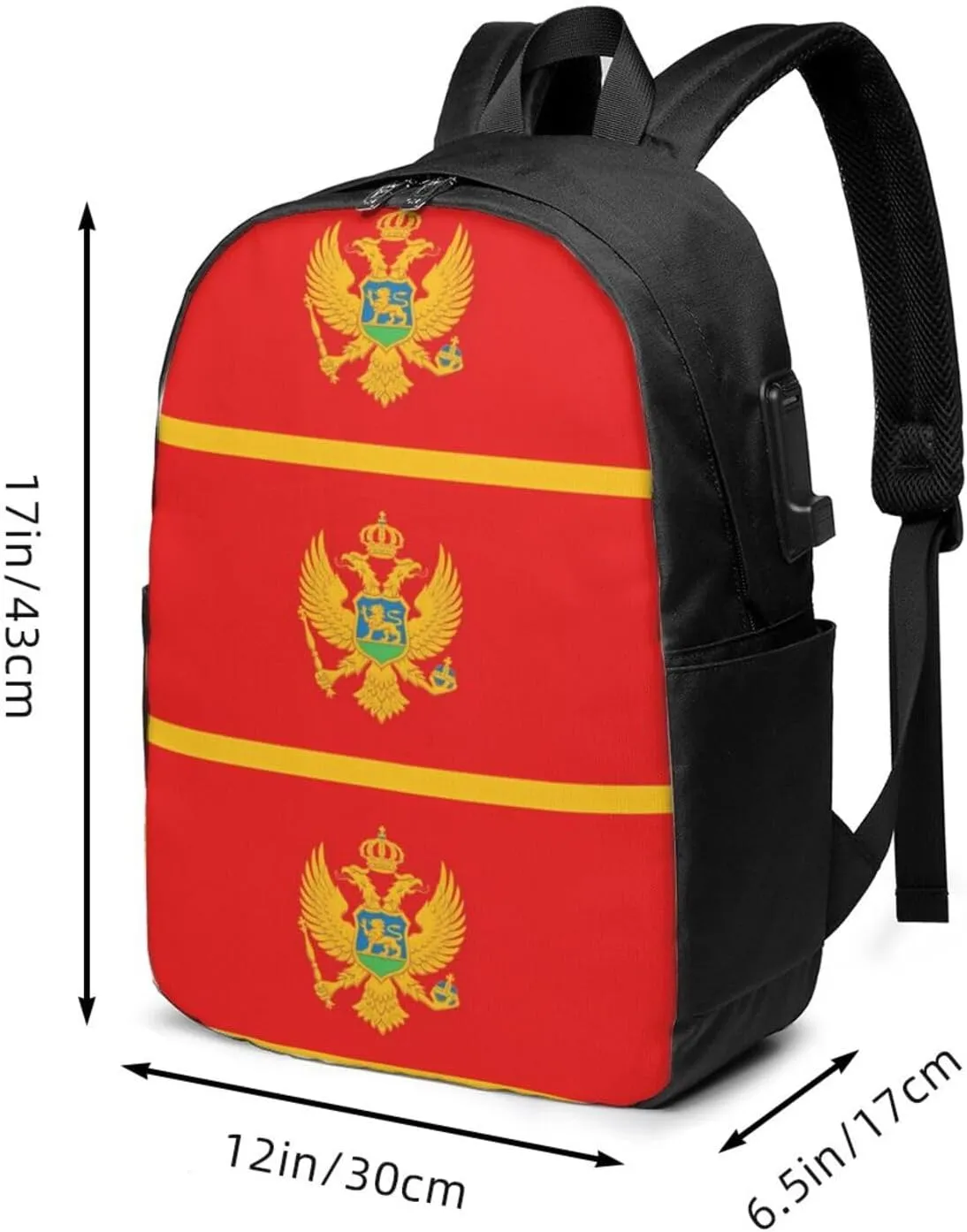 Montenegro Flag Travel Backpack 17-Inch Laptop Backpacks Business Rucksack Casual Sport Daypack with USB Charging Port Carry-on Bag for Camping Biking