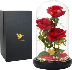 Mothers Day Rose Gifts for Mom,Beauty and The Beast Rose in Glass Dome with Lights, Mothers Day Flowers Birthday Gifts for Women,Anniversary Rose Gifts for Wife,Red Silk Rose Flower Gifts for Women