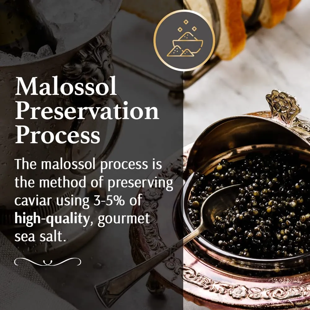 OLMA Noble Caviar Gift Set - 2 oz (56g) of Caviar, Includes Kaluga Royal, Siberian Osetra Aurora, Hackleback, Paddlefish, Serving Spoon & Blinis - Superior Grade Fresh Roe Fish Eggs