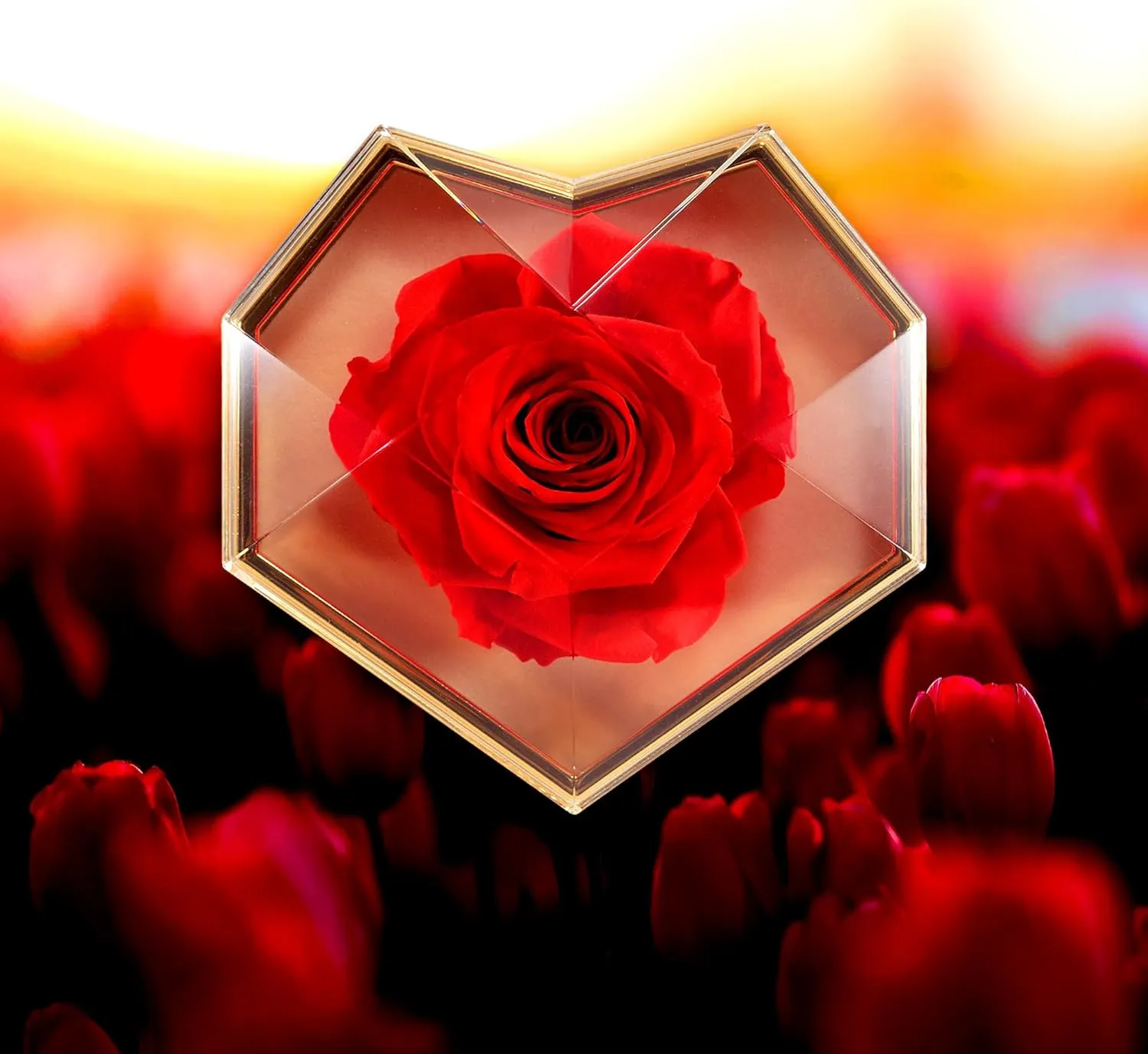 Preserved Flowers for Mom Preserved Roses Bouquet Gift Box Delivery Mother's Day Birthday Anniversary Prime Flores Eternal Love Red Rosas Real Natural Angel Heart Regalo Women Regalos