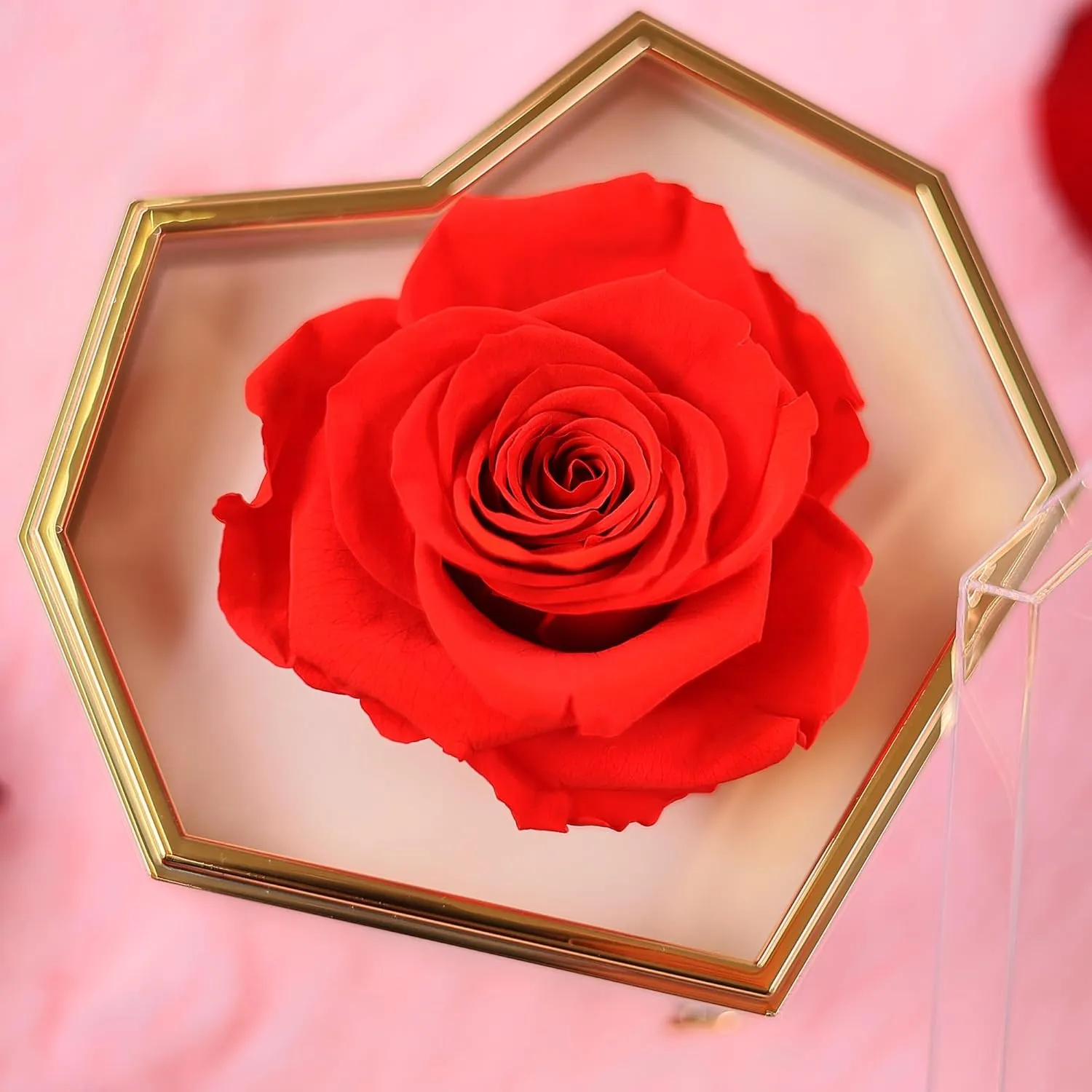 Preserved Flowers for Mom Preserved Roses Bouquet Gift Box Delivery Mother's Day Birthday Anniversary Prime Flores Eternal Love Red Rosas Real Natural Angel Heart Regalo Women Regalos