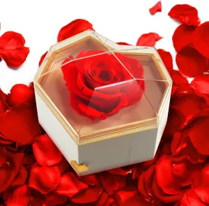 Preserved Flowers for Mom Preserved Roses Bouquet Gift Box Delivery Mother's Day Birthday Anniversary Prime Flores Eternal Love Red Rosas Real Natural Angel Heart Regalo Women Regalos