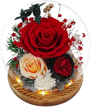 Preserved Rose Birthday Gifts for Women Preserved Flowers in Glass Dome Forever Fresh Flowers for Delivery Prime Red Eternal Rose Gifts for Her Valentines Day Anniversary for Wife Girlfriend