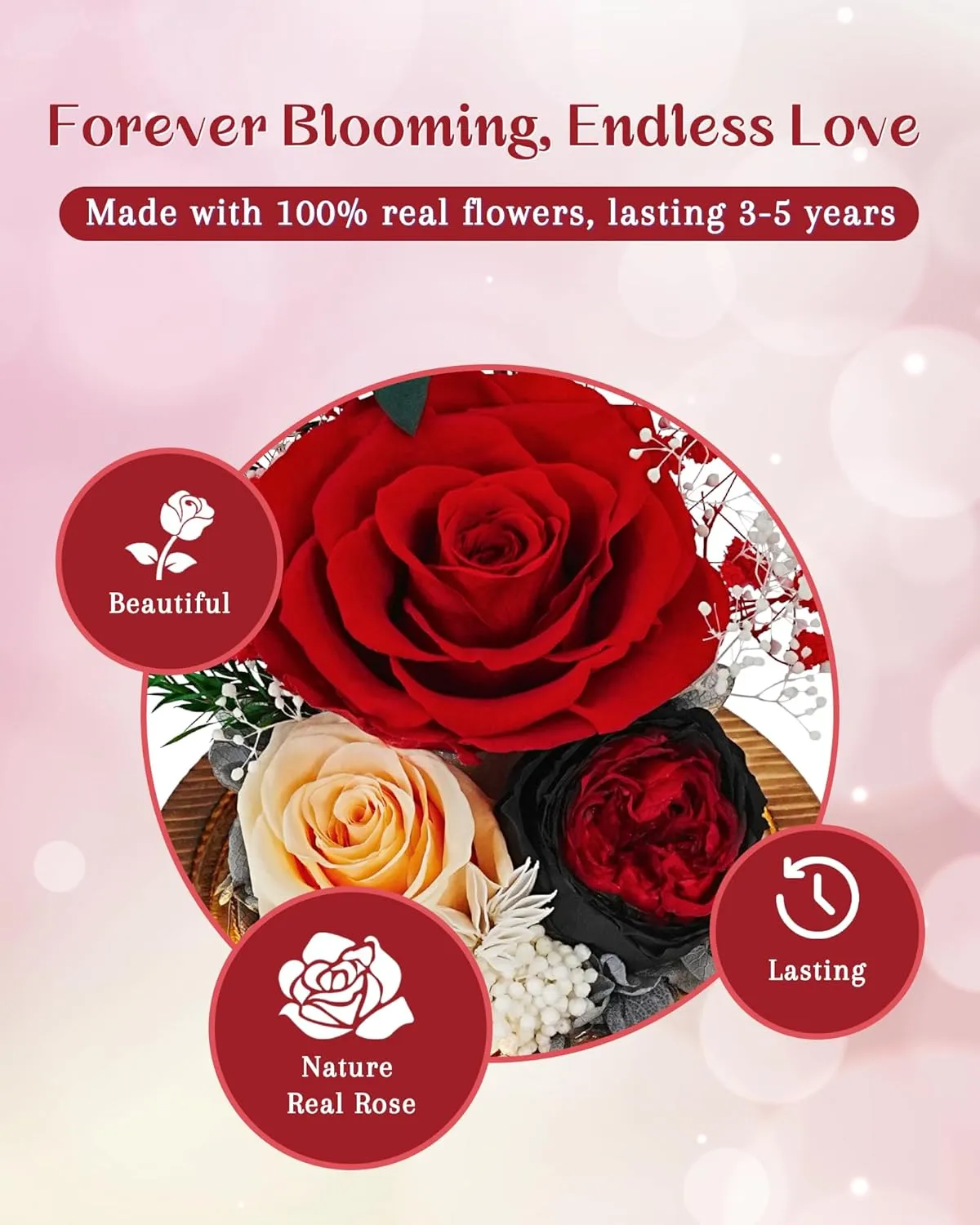 Preserved Rose Birthday Gifts for Women Preserved Flowers in Glass Dome Forever Fresh Flowers for Delivery Prime Red Eternal Rose Gifts for Her Valentines Day Anniversary for Wife Girlfriend