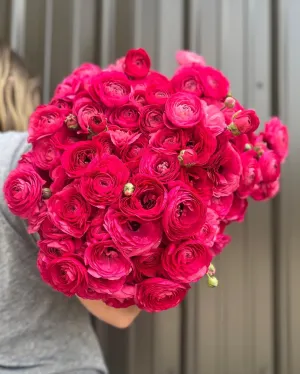 Ranunculus Corms-Pink