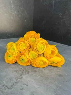 Ranunculus Corms-Yellow