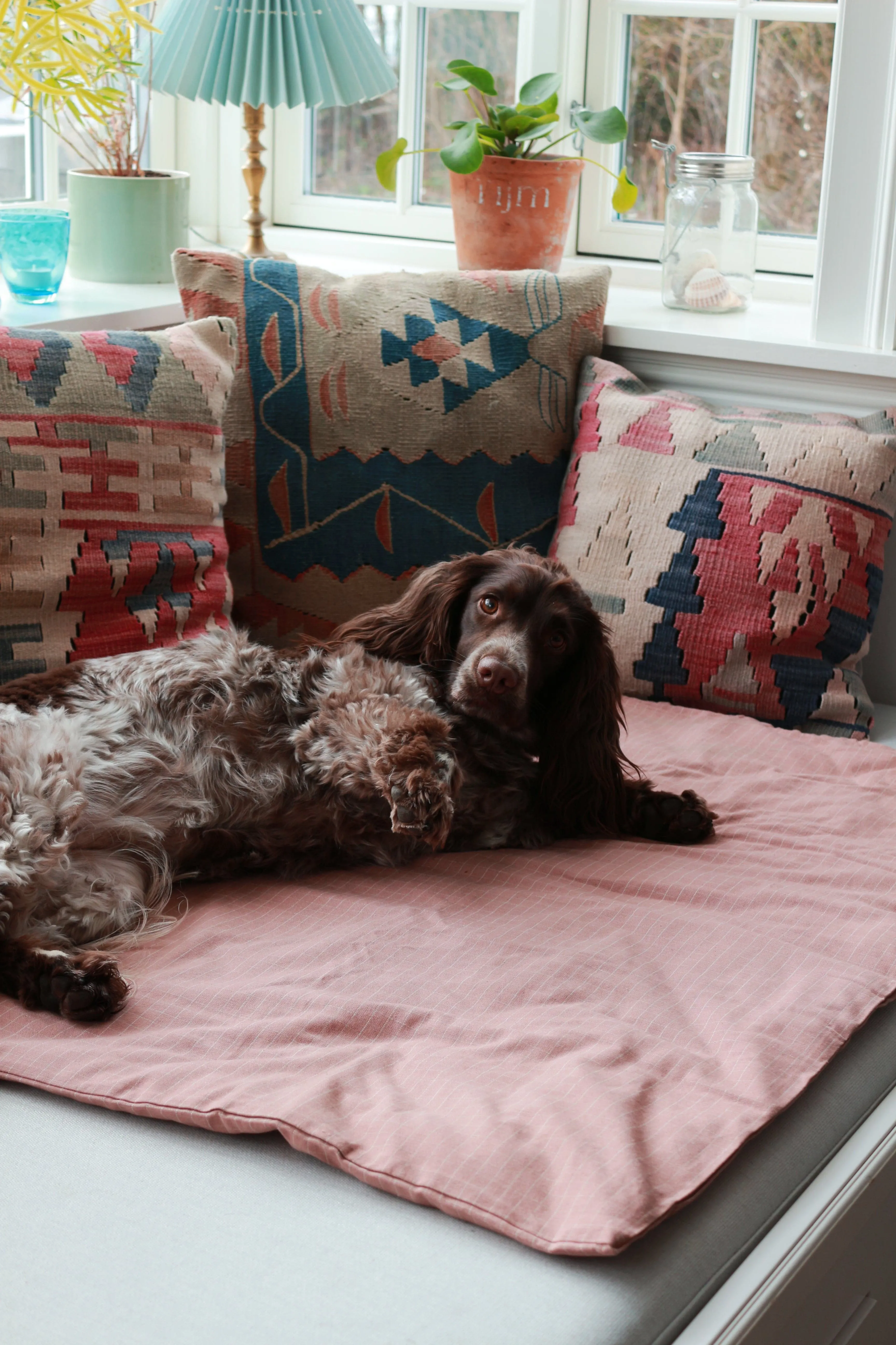 Tadazhi Chequered Dog Duvet and Matching Bag