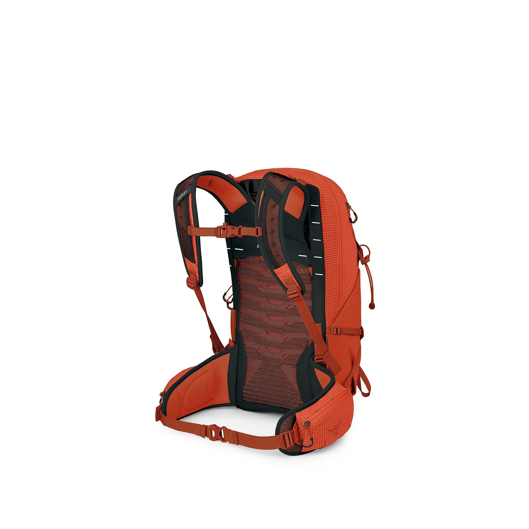 Talon Pro 20 Backpack